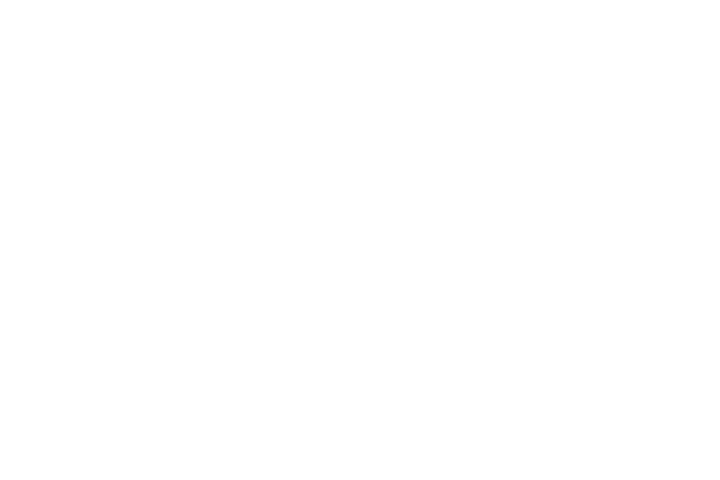 SYNDICATE